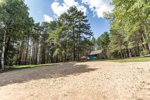 sand beach on the shore of a large lake in summer forest photo