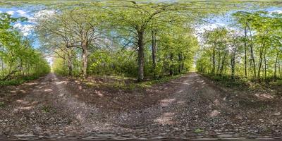 panorama hdri esférico completo sin costuras Vista de ángulo de 360 grados en camino de grava sin tráfico entre callejón de árboles en el día de verano en proyección equirectangular, contenido de realidad virtual listo vr ar foto