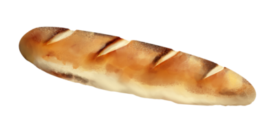 conjunto de pan y trigo pastelería panadería acuarela pintura ilustración png