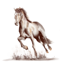 Running horse black and white watercolor style on white background png