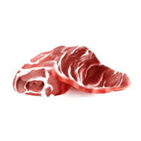 Raw meat sliced watercolor illustration png