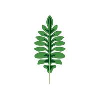 ilustración de planta de hoja de naturaleza vector