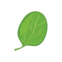nature leaf plant illustration vector