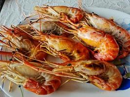 grilled shrimp close-up photo