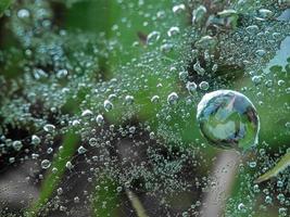 Dewdrops on spider web in the morning photo