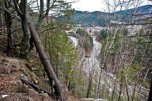 acantilado rocoso en el bosque verde en las montañas de los Cárpatos. foto