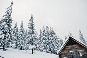 casa de madera en pinos cubiertos de nieve en la montaña chomiak. hermosos paisajes invernales de las montañas de los cárpatos, ucrania. naturaleza helada. foto