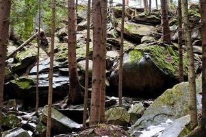 Dovbush rocks in green forest at Carpathian mountains. photo