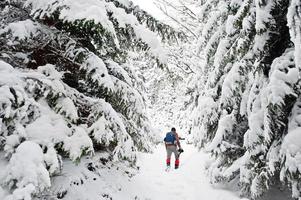 Man at pine trees covered by snow at Carpathian mountains. Beautiful winter landscapes. Frost nature. photo