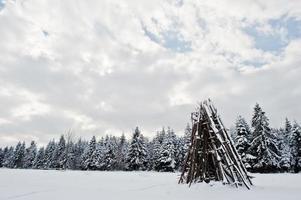 Pine trees covered by snow. Beautiful winter landscapes. Frost nature. photo