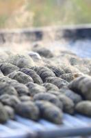 Drying Sea Cucumber Outdoor photo