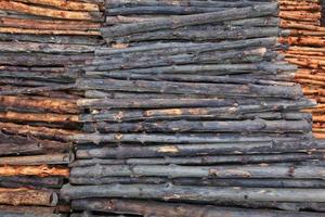 madera de mangle para ser procesada como carbón vegetal foto