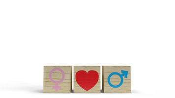 The gender on wooden cube with symbol to love 3d rendering  for valentine day. photo