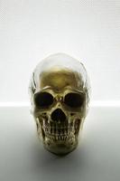 skull close up on glow light abstract  background . photo