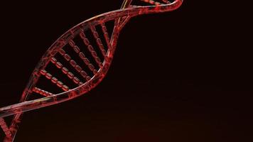 red Dna 3d rendering on black background for science content. photo