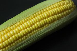 Fresh corn on Table close up image background. photo