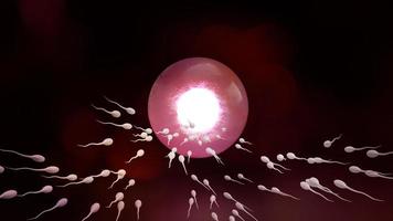 Sperm and ovary for sci content 3d rendering. photo