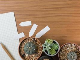 Cactus flat lay on wood floor background. photo