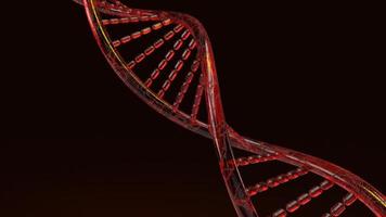 red Dna 3d rendering on black background for science content. photo