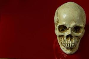 el cráneo en la imagen abstracta brillante de fondo rojo. foto