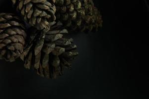 Pine cones on black image background. photo