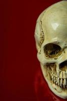The skull on red background glossy abstract image. photo
