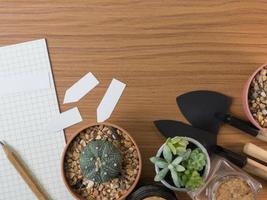 Cactus flat lay on wood floor background. photo