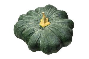 green pumpkin on white background  isolated image. photo