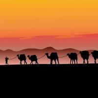 Camel caravan going through the desert vector illustrstion