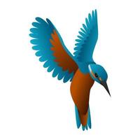 gradient kingfisher bird vector illustration