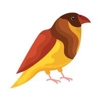 golden pheasant exotic bird vector