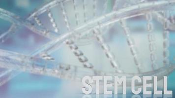 The  stem cell text on dna background for sci or medical concept 3d rendering photo