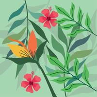 heliconias with red flowers pattern vector