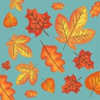 autumn maple leafs pattern vector