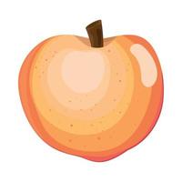 peach fresh fruit vector