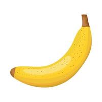 banana fresh fruit vector