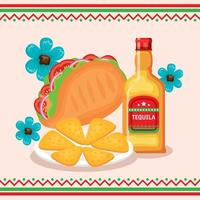 mexican celebration with food and tequila vector