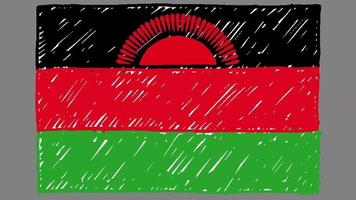 video di animazione in loop di schizzo della bandiera del paese nazionale del malawi o schizzo a matita