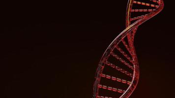 red Dna 3d rendering on black background for science content. photo