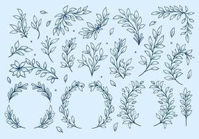 flor hoja hojas vector contorno conjunto colección rústico estilo de dibujo a mano