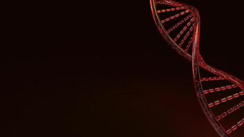 representación 3d de adn rojo sobre fondo negro para contenido científico. foto