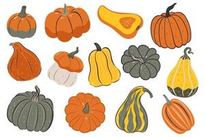 conjunto de calabazas de varias formas y colores aisladas en un fondo blanco. gráficos vectoriales vector