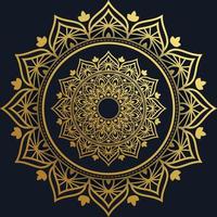 luxury ornamental mandala design background in gold color. vector