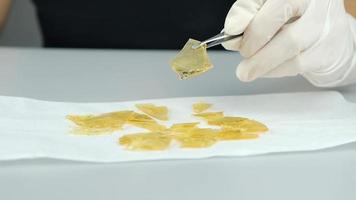 dispensario médico marihuana vende cera dorada de cannabis. material de archivo fullhd de alta calidad video