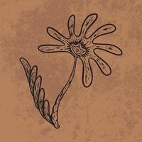 Botanical leaf doodle wildflower line art. Hand drawn vector illustration. Vintage floral outline. Suitable for wallpaper, poster, sticker, content social media