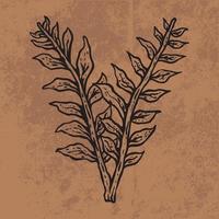 Botanical leaf doodle wildflower line art. Hand drawn vector illustration. Vintage floral outline. Suitable for wallpaper, posters, stickers, content social media