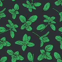 Basil Seamless Pattern. Italian herbs. vector