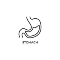 Vector sign of stomach symbol is isolated on a white background. icon color editable.