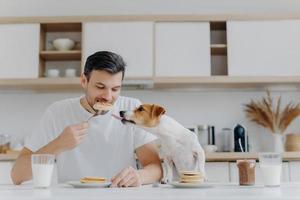 Hungry man eats sweet pancakes, uses fork, drinks fresh milk, dog sticks out tongue, asks to eat, sit at white table in modern kitchen. Enjoying meal or dessert. Tasty snack. Mmm, how delicious photo