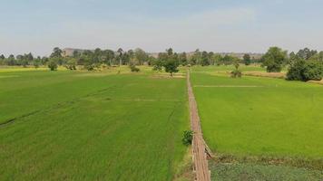 drone shot vista aérea paisaje escénico de granja agrícola en el campo video